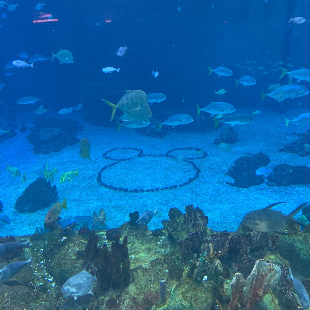 Meet your Posher, Stefanie